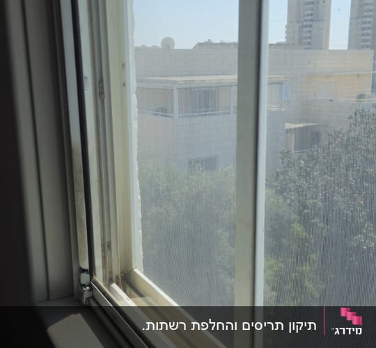 חלון עם רשת נגד יתושים ונוף עירוני
